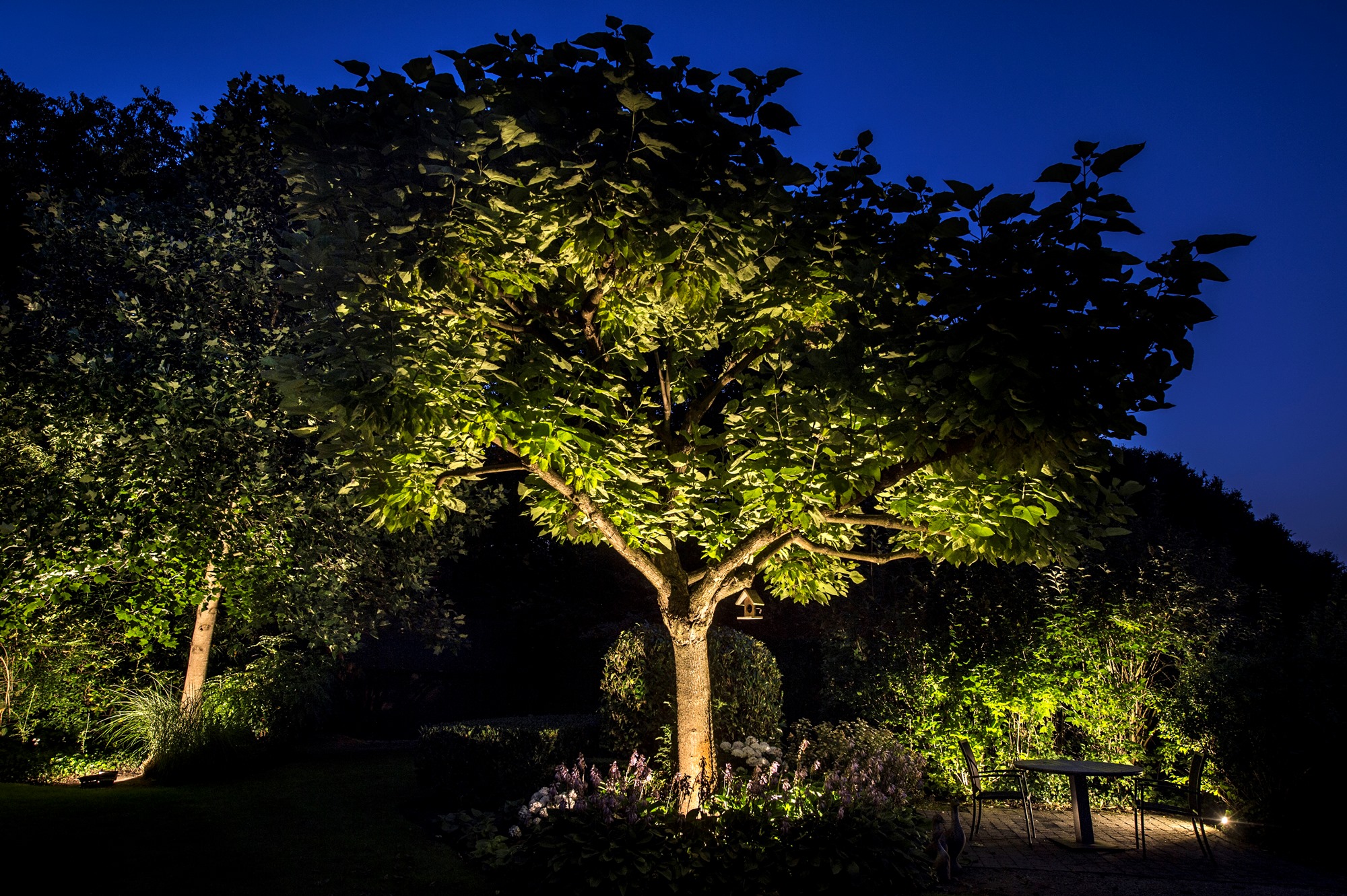 privetuin